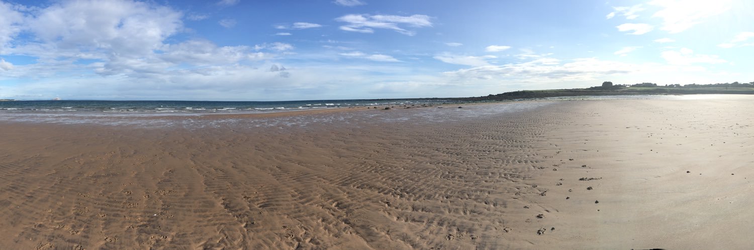 Fiona Stratton banner