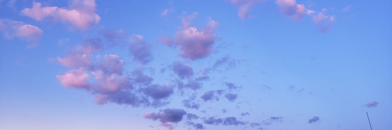 calligulove's profile banner image
