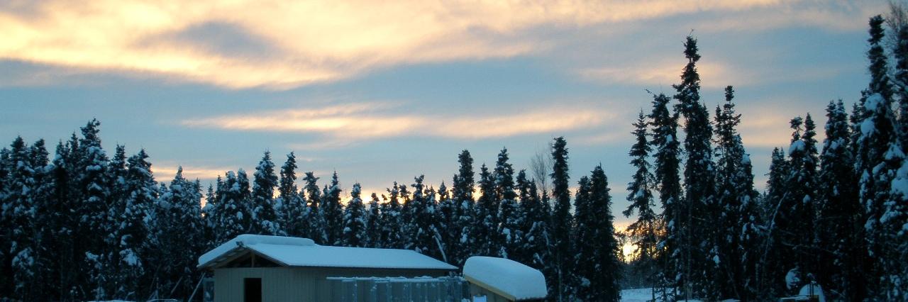 padee mccrery banner