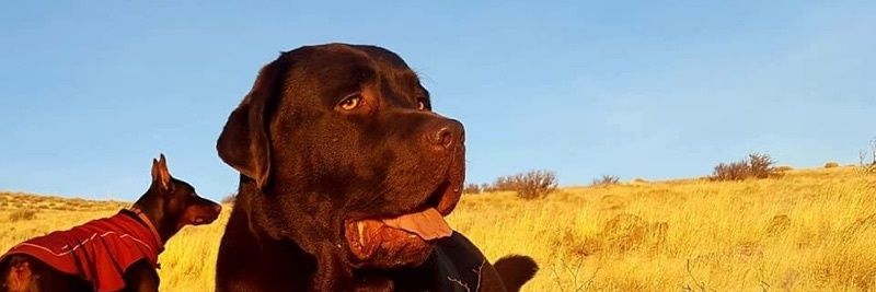 Jvguxr's profile banner image