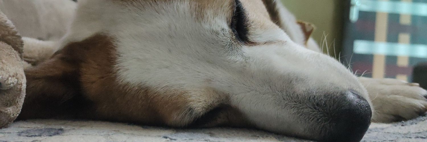 sahcrav's profile banner image