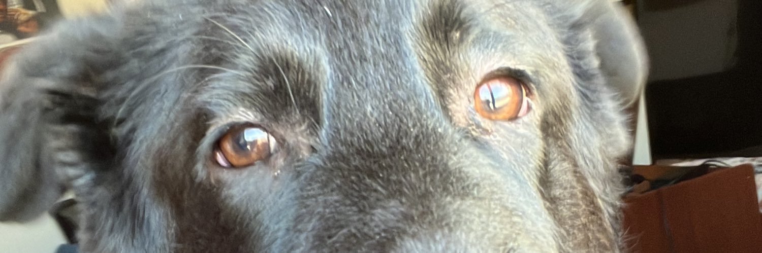 ilostmylemom's profile banner image