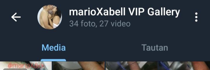 Mario Bro'ss banner