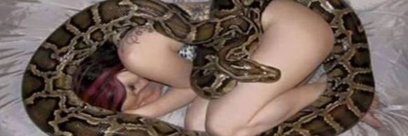 El Señor de la Medianoche banner