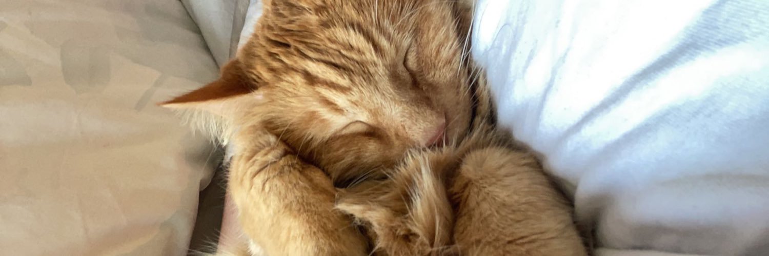 Emzzie101's profile banner image