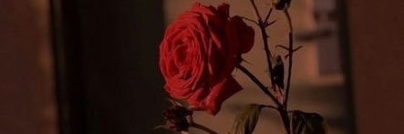 XShe5a's profile banner image