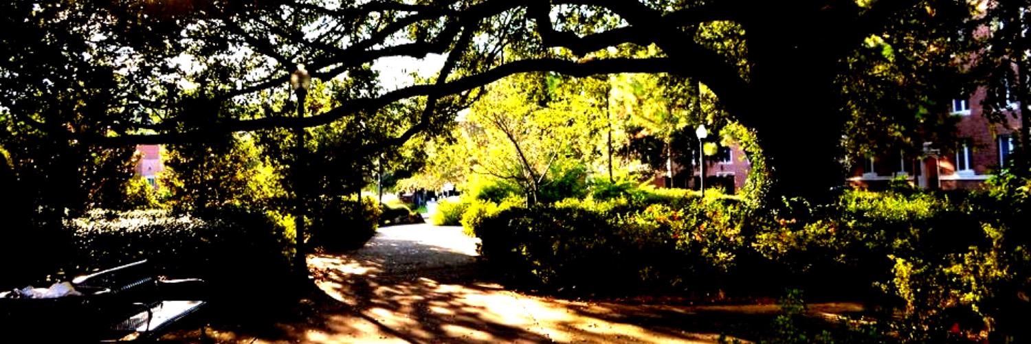 aliramirez220's profile banner image
