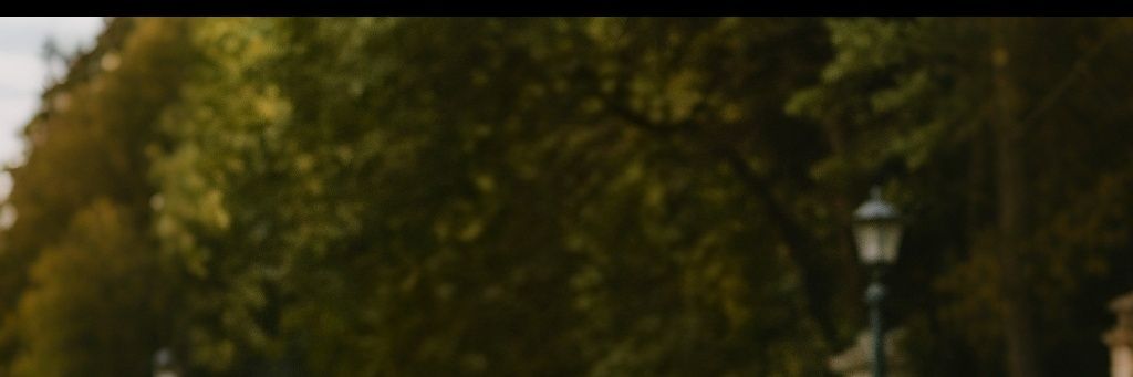 GrafvMC's profile banner image