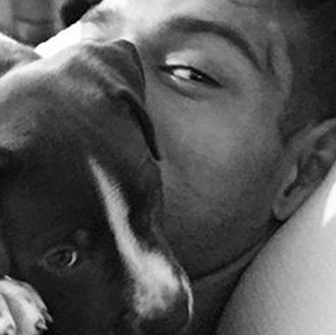 FCProntopratdLL's profile banner image