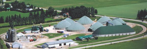 agromartgroup Profile Banner