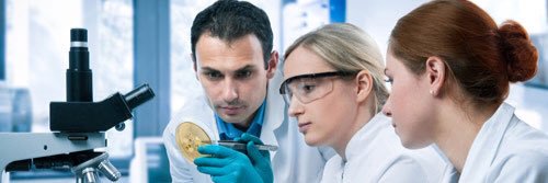 ScienceFo's profile banner image