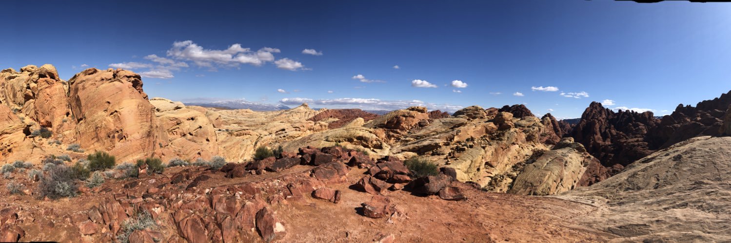 Hannah Locke---got soil microbes? banner