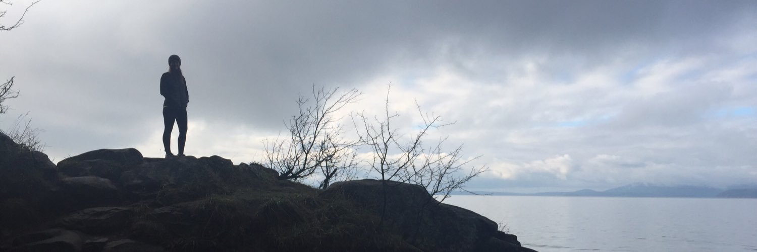 RWKoning's profile banner image