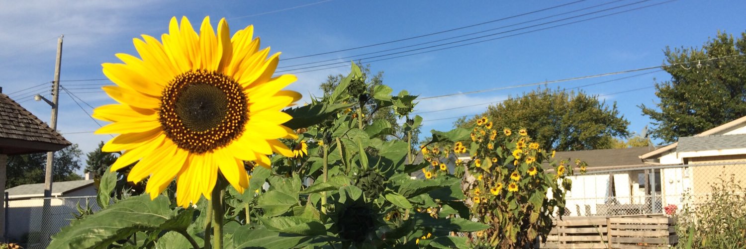 Margaret Park School banner