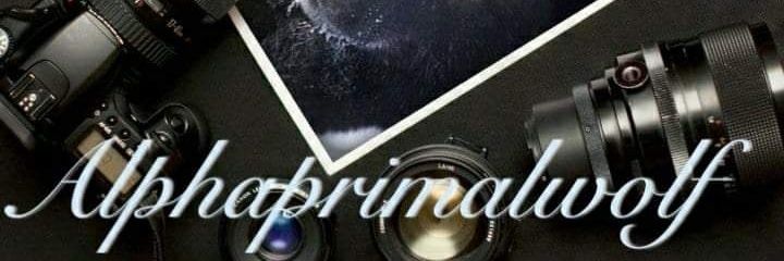 coreyyogi's profile banner image