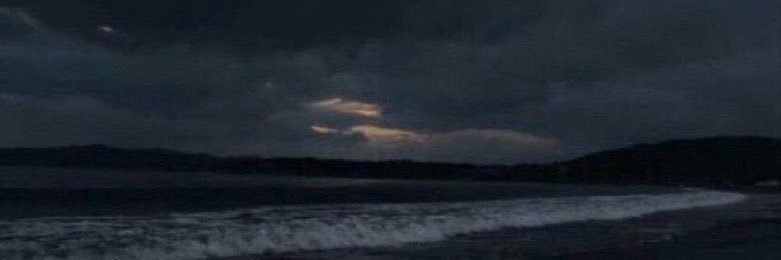 𓆱 banner