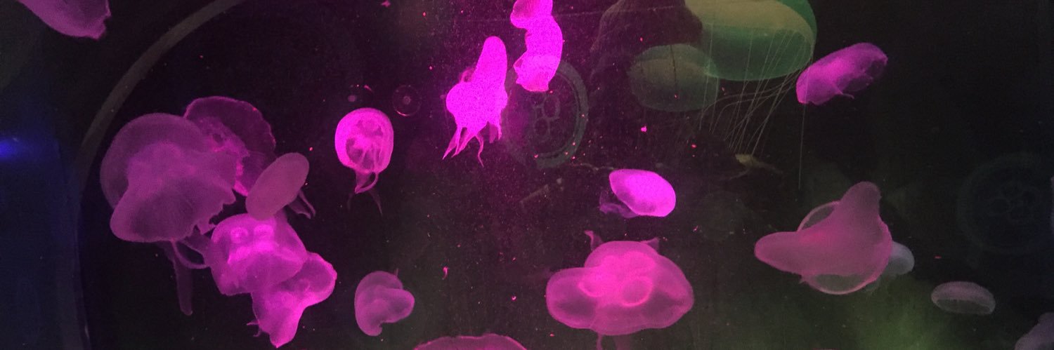 pgmw__'s profile banner image