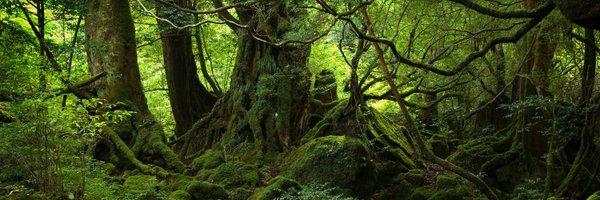 RoanClay1 Profile Banner