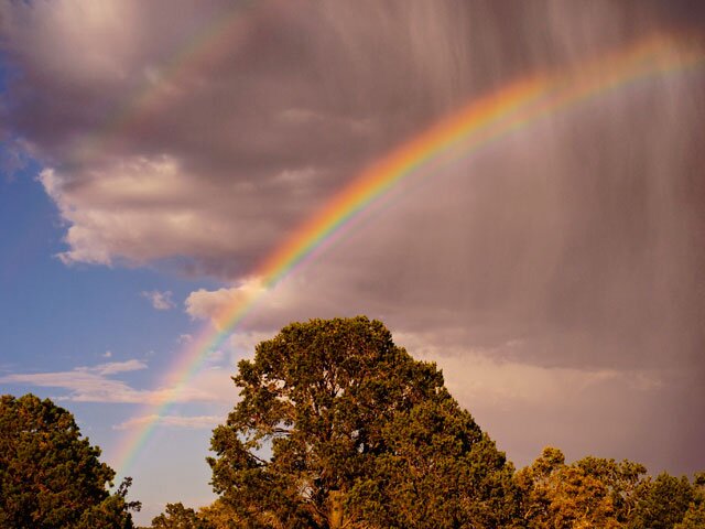 rizky_utami3's profile banner image