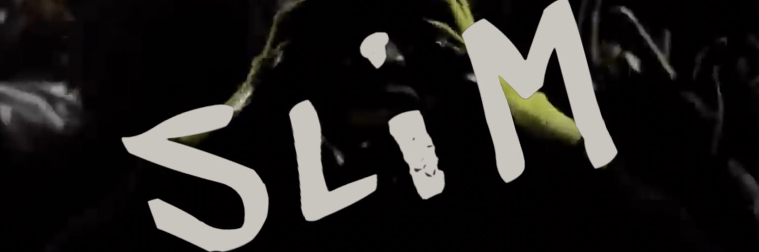 miaslim_'s profile banner image