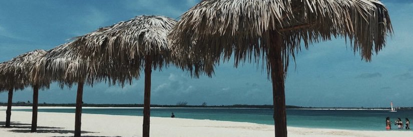 Stacy_L_A's profile banner image