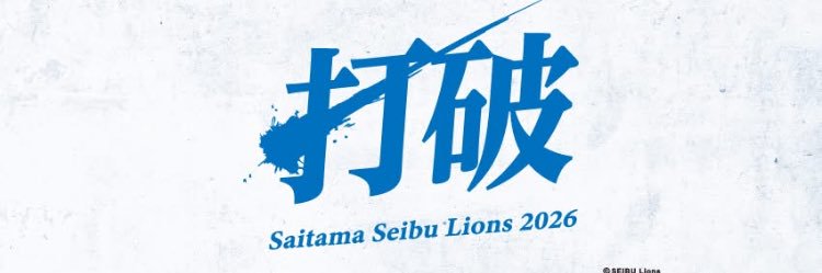 Lions_edu's profile banner image