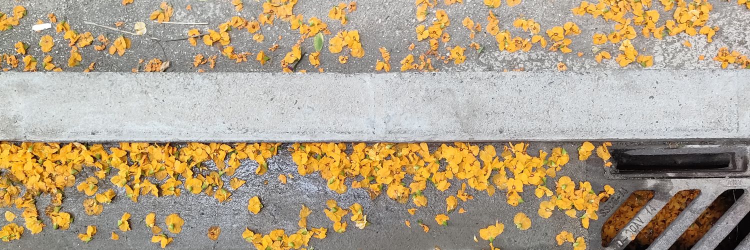 FuckQueenShirx's profile banner image