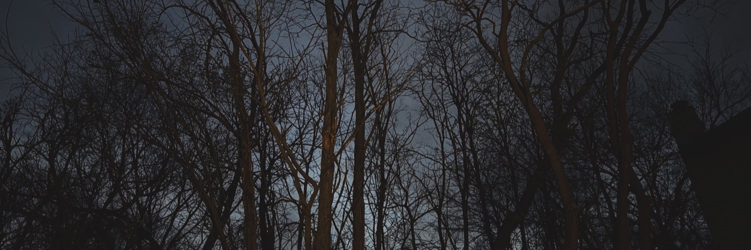 JustinneEHM's profile banner image
