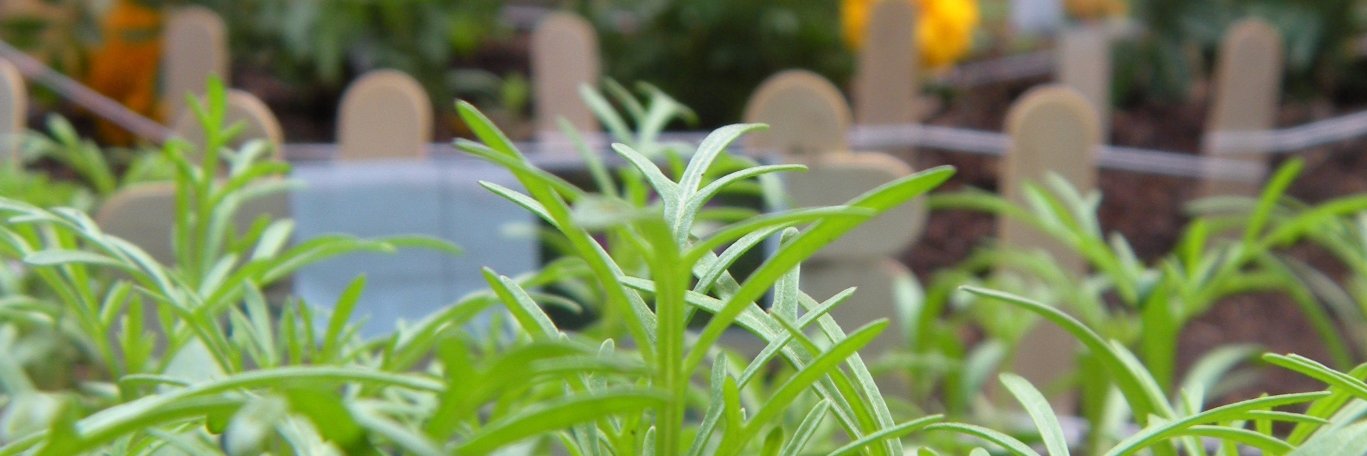 nf2229's profile banner image