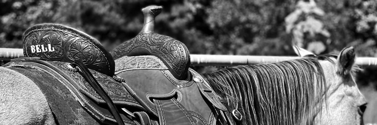 lbell_40's profile banner image