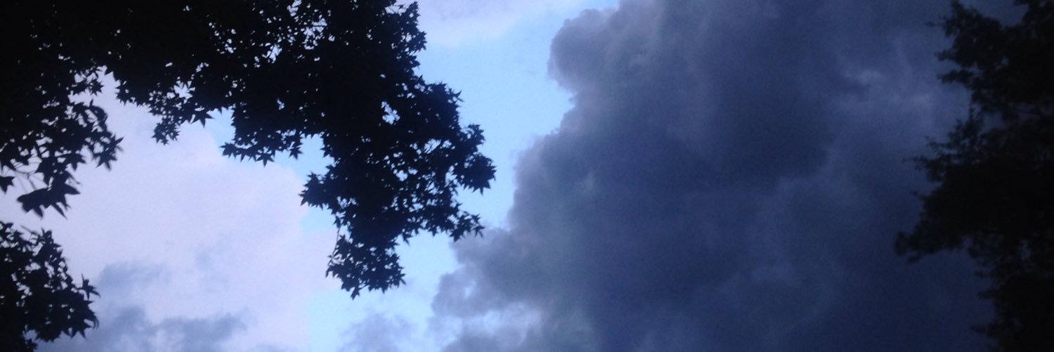 JacqueDunlap1's profile banner image