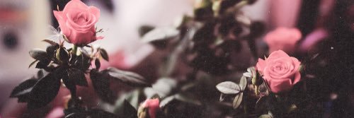 CandidNeurosis's profile banner image