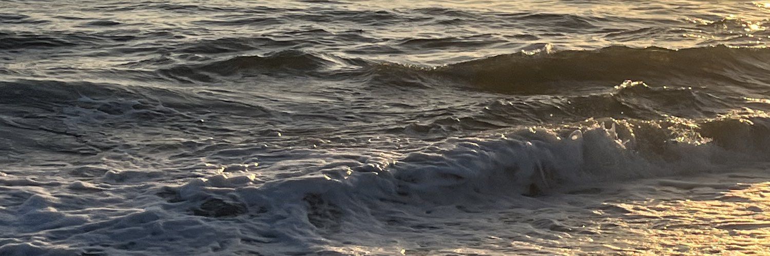 orangebangluver's profile banner image