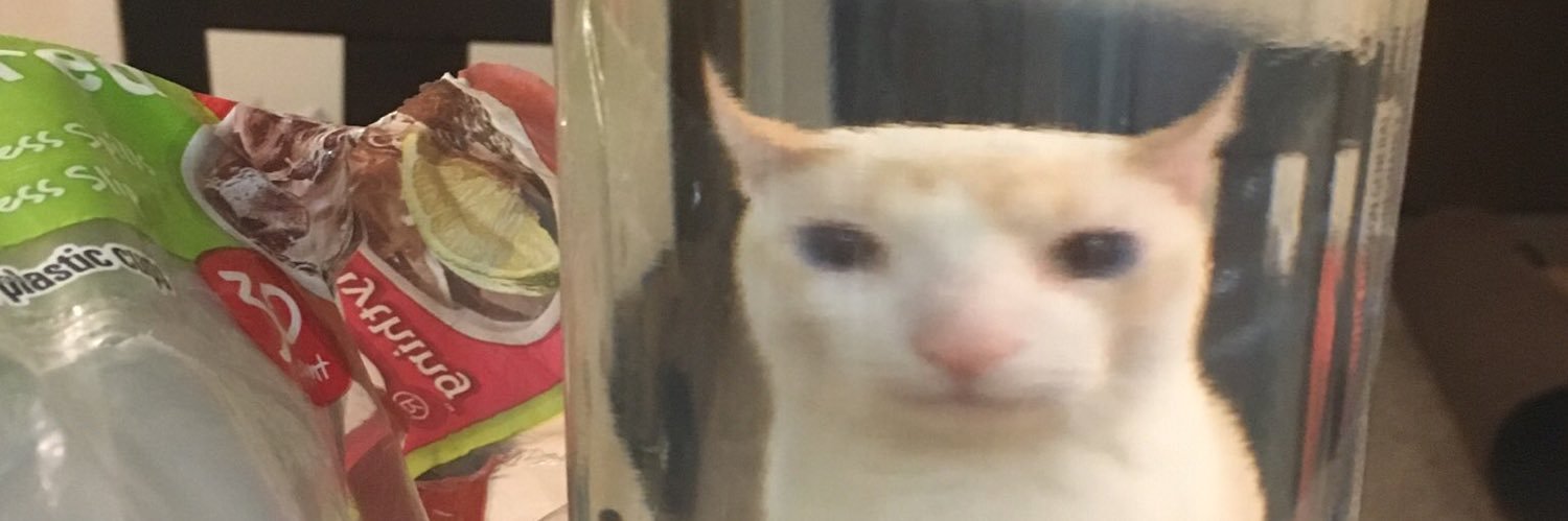 komugiko_t's profile banner image