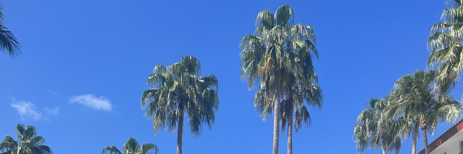 shaunypauney's profile banner image