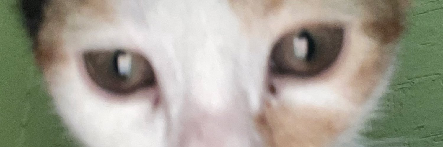 InesMartinezj's profile banner image