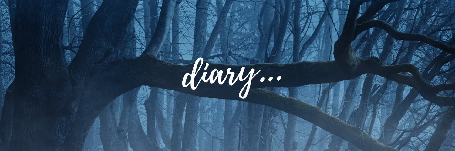 diaryofhermind's profile banner image