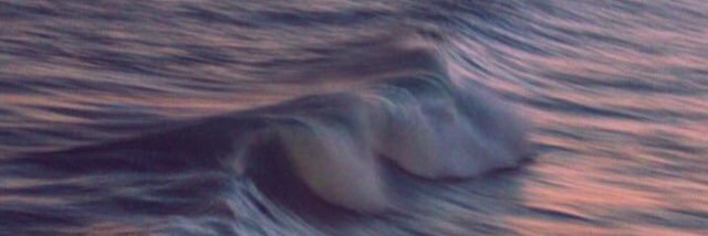 joroco__'s profile banner image