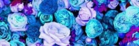 XFrozenHeartX1's profile banner image