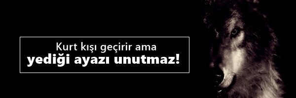 TurkcuYol's profile banner image