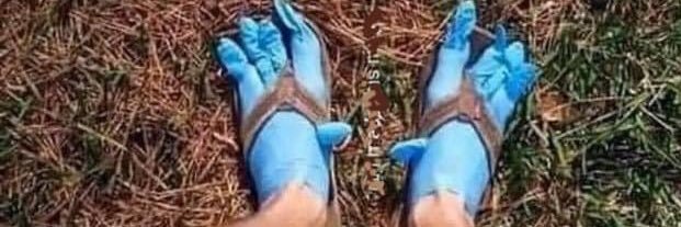 Catmandeaux's profile banner image