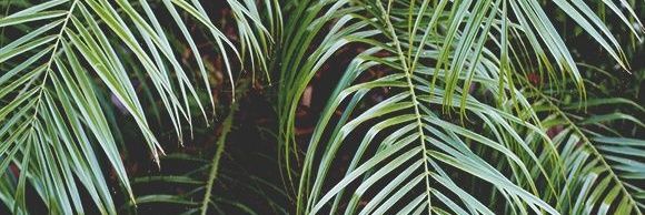 awkbrittany's profile banner image