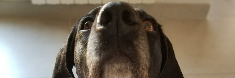 RocioMgrande's profile banner image