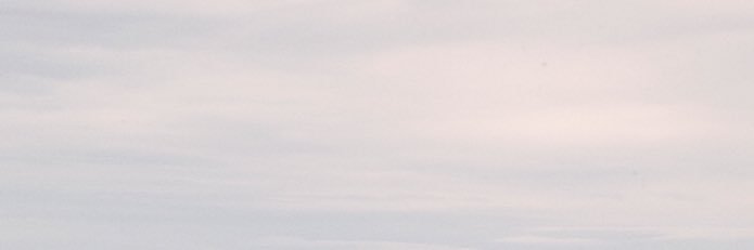 ohhminea's profile banner image