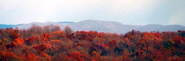 SamSussman1 Profile Banner