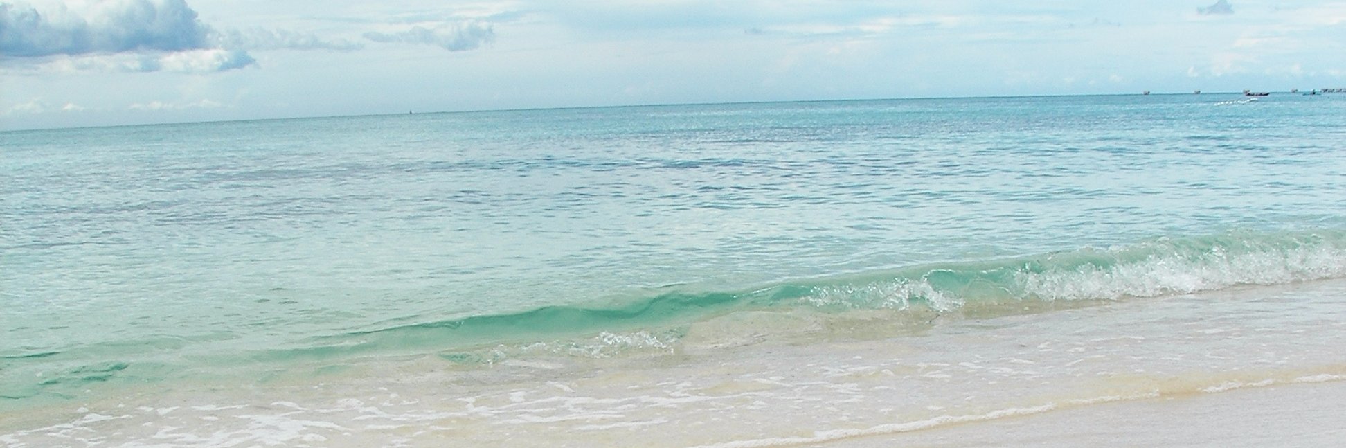 P4res's profile banner image