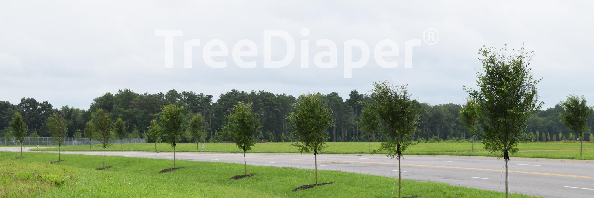 TreeDiaper's profile banner image
