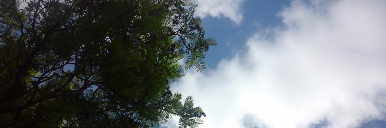 DepreShippers's profile banner image