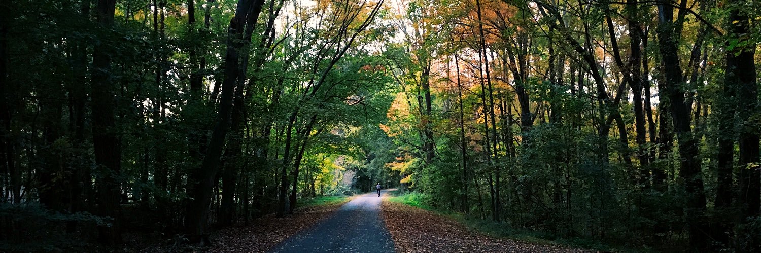 Keqin 'Catherine' Ding banner