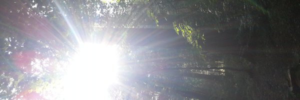 ManuDisabato Profile Banner